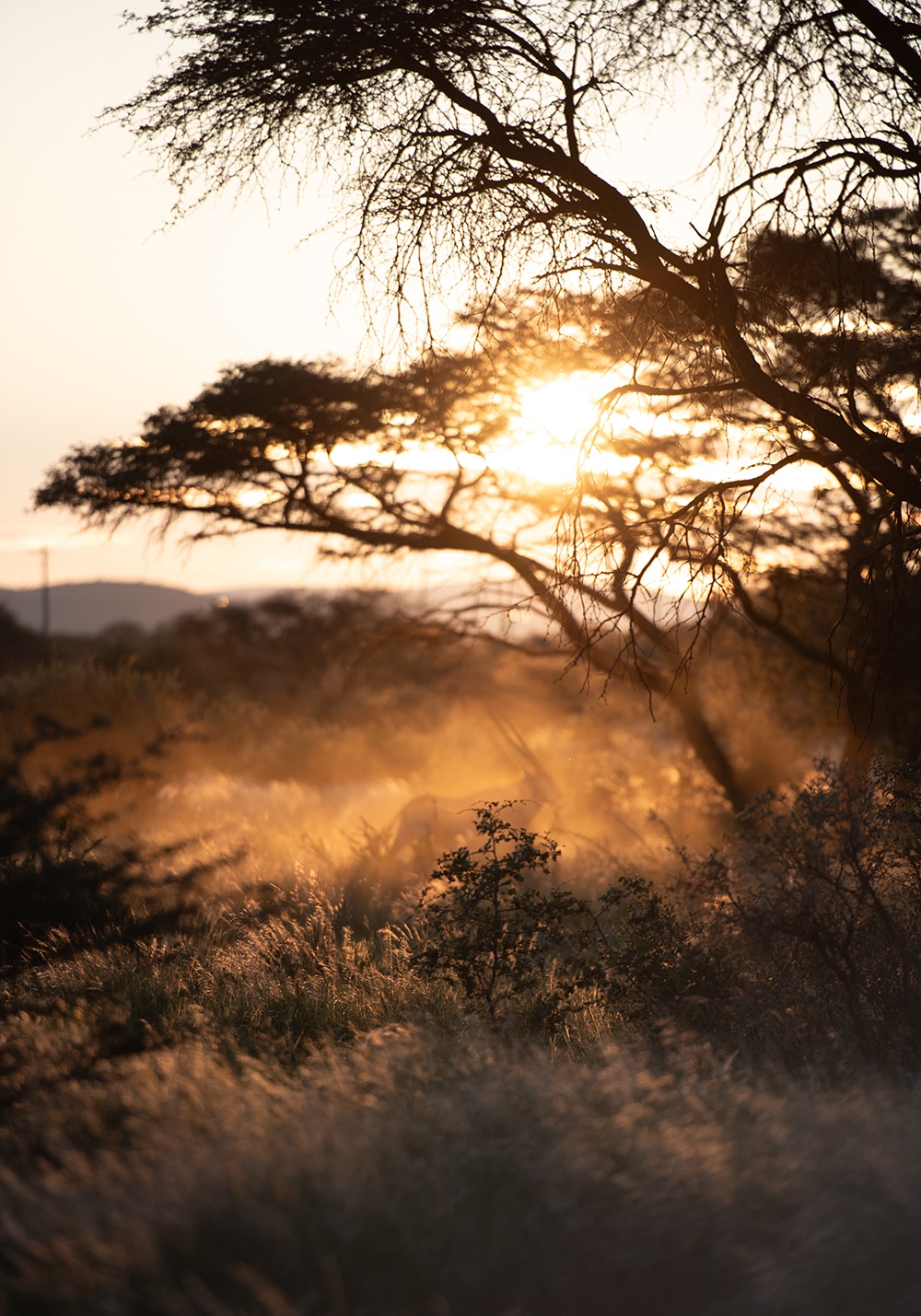 Guest experience at Shalom Boutique Lodge & Hunting Safaris.