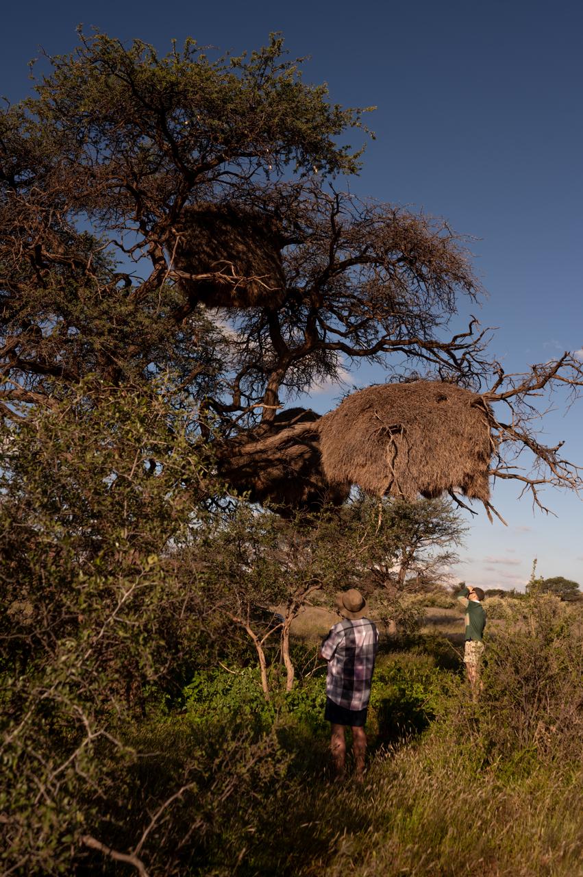 Guest experience at Shalom Boutique Lodge & Hunting Safaris.